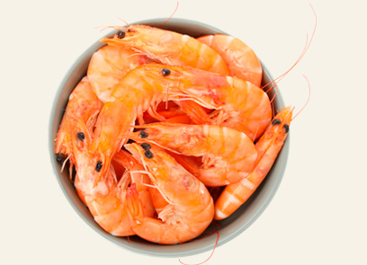 Cesar Mellior Fish