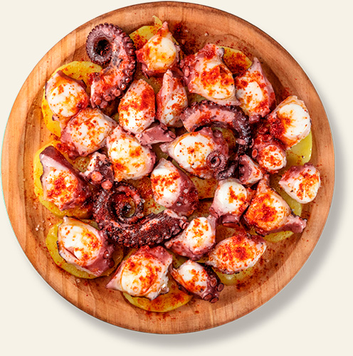 Cesar Mellior Octopus